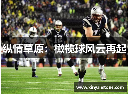 纵情草原：橄榄球风云再起